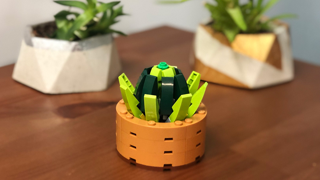 LEGO succulent, real succulents